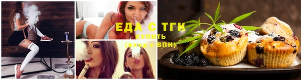 ешки Бородино