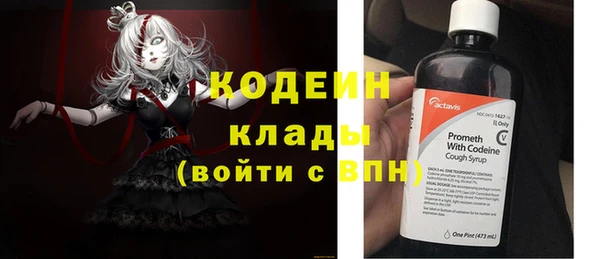 ешки Бородино