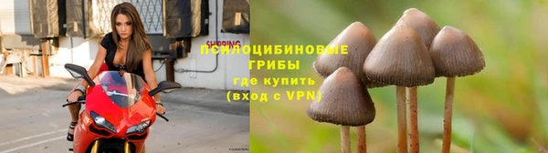 марки lsd Бронницы