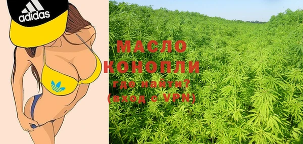 ешки Бородино
