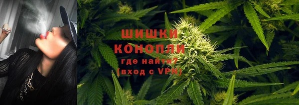ешки Бородино