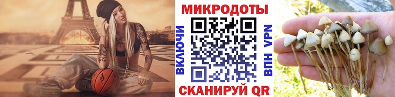 Галлюциногенные грибы Psilocybine cubensis  Сатка 
